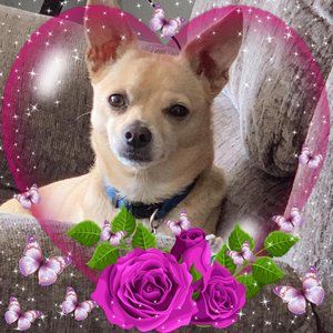 Meet your Posher, Stacey